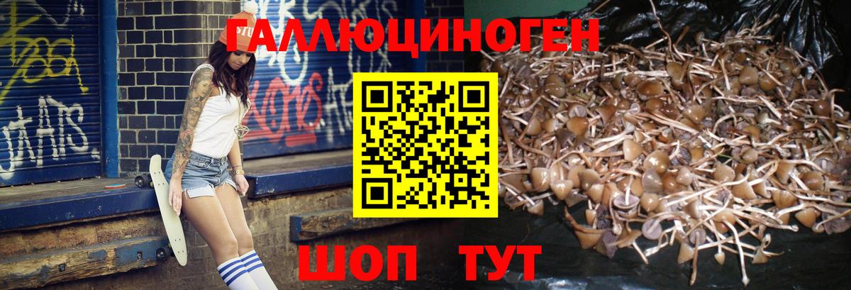 Галлюциногенные грибы GOLDEN TEACHER Долгопрудный